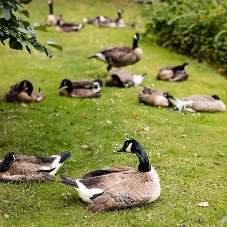 Hotel Landgoed Overste Hof - Simply 3*