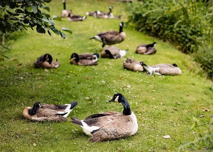 Hotel Landgoed Overste Hof 3*